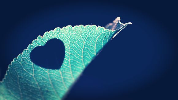 分屏怎么用 苹果