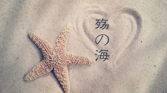 什么手机适合做导航