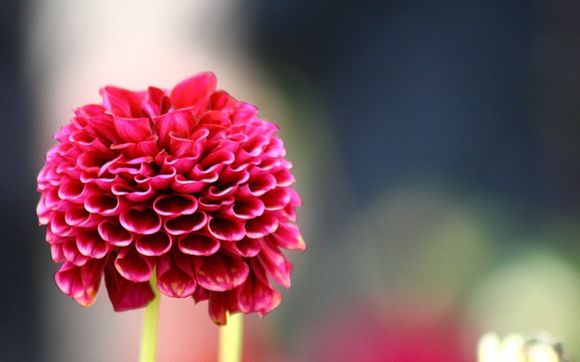 中国手机占全球多少比例