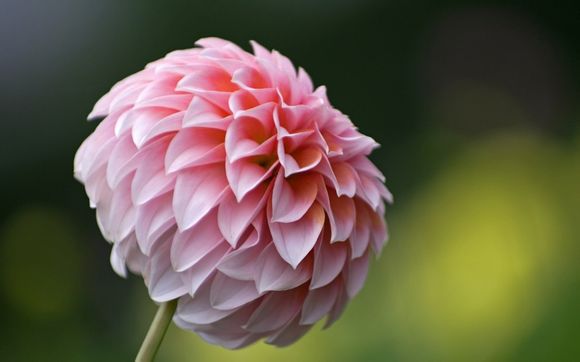 东芝xg4如何