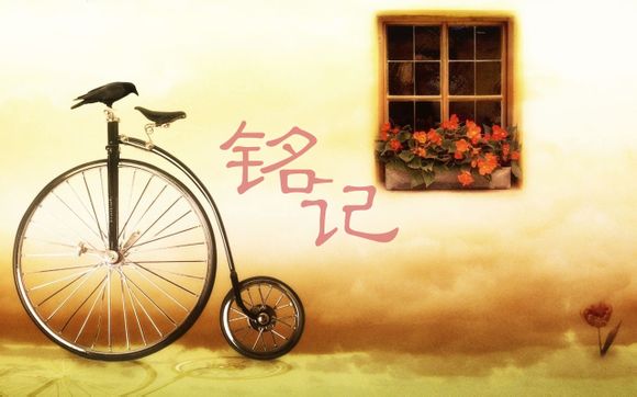 亚马逊助手是什么
