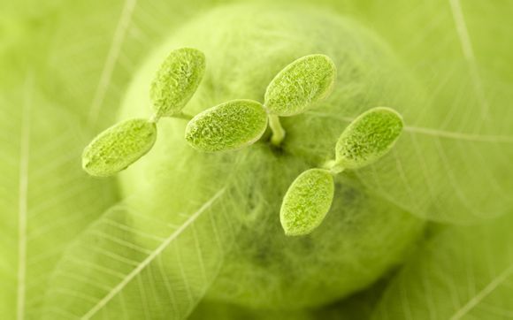 广州有什么特卖会吗