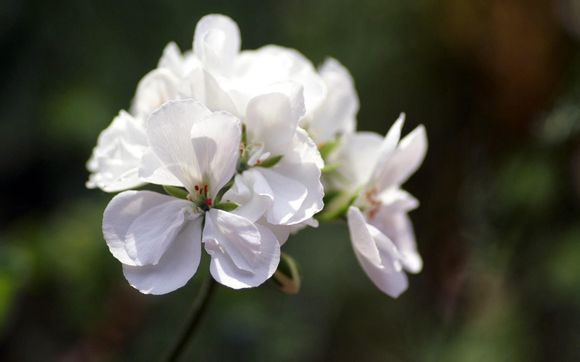 英格兰u20世界杯名单