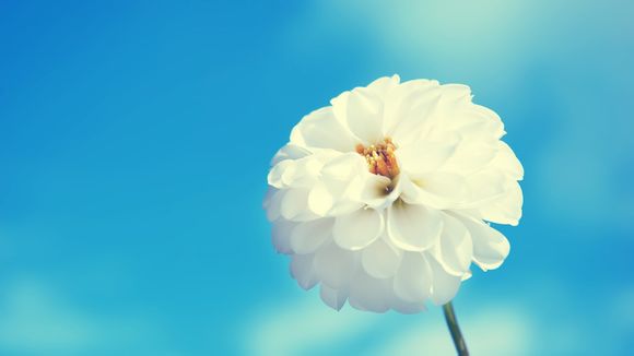 世界杯门票是一场一场买吗