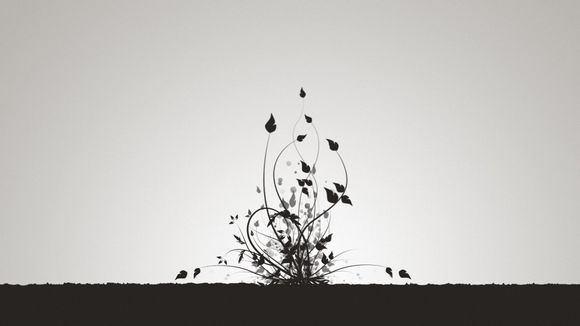 2018世界杯中国队名单,2021乒乓球世界杯中国队名单？